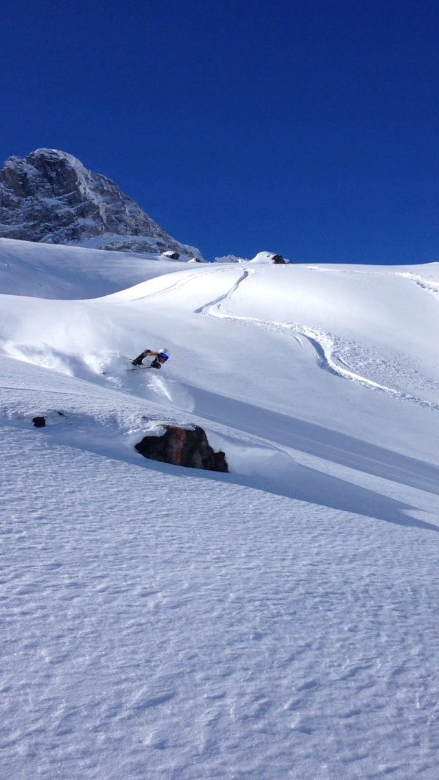 Rider: Tyra Ahlerup. Åkare: Tyra Ahlerup.