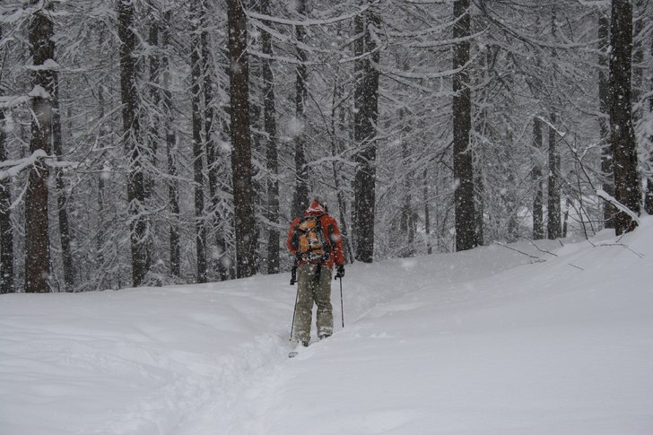 Foto: Jessica Nordlander. Åkare: Andreas Lindroth.