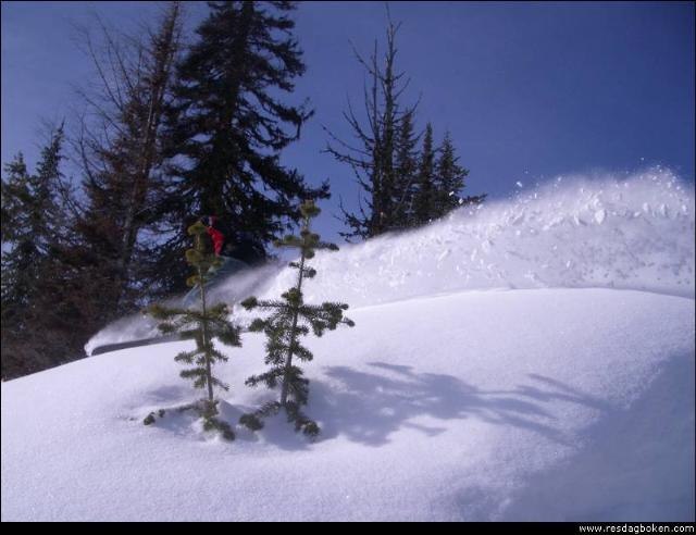 Foto: Fredrik Johansson. Åkare: David Gustafsson.