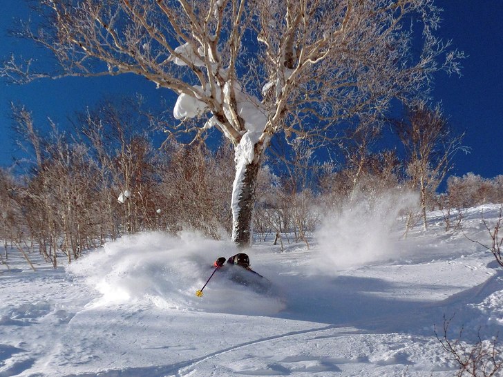 David in Higashi One!.