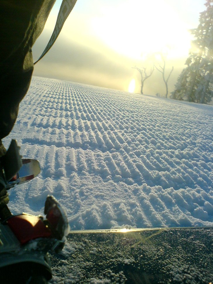 Foto: Barbie. Åkare: Barbie.