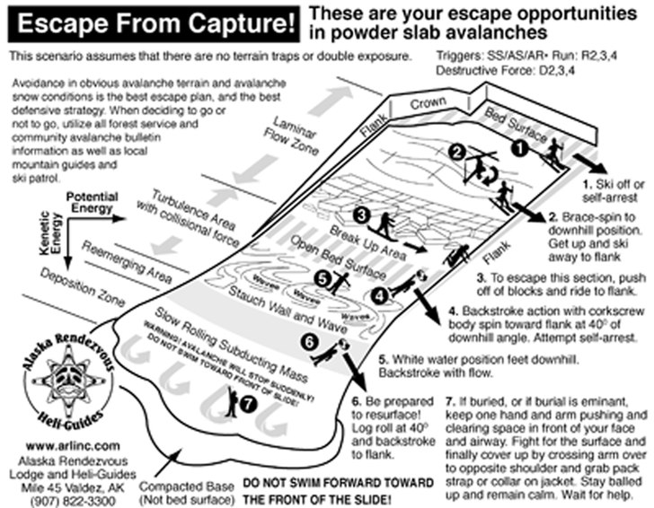 escape from capture
undkom lavin. Foto: okänd.