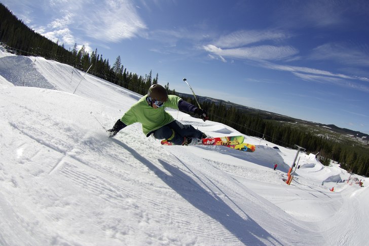 handdrag 1. Foto: a bear. Åkare: Maximilliam Smith.