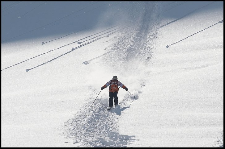 Foto: Kamelia Atanasova. Åkare: Yavor Netsov.