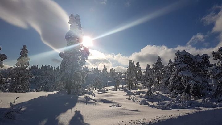 Status åpne bakker
Solen skinner og det er gode f.