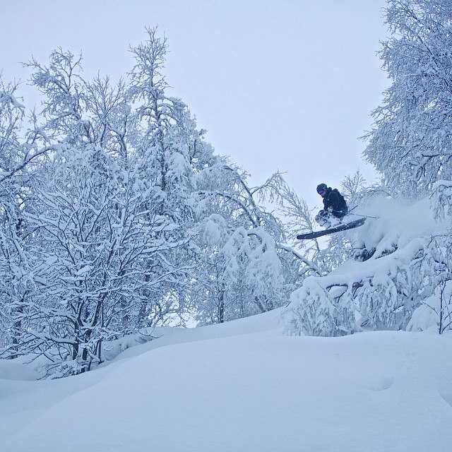 PUDDER.
PUDDER.   PUDDER.  PUDDER..