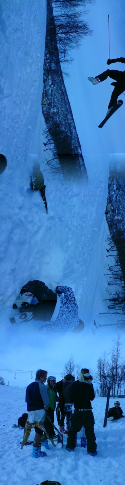 hamra. Foto: adina israelsson.