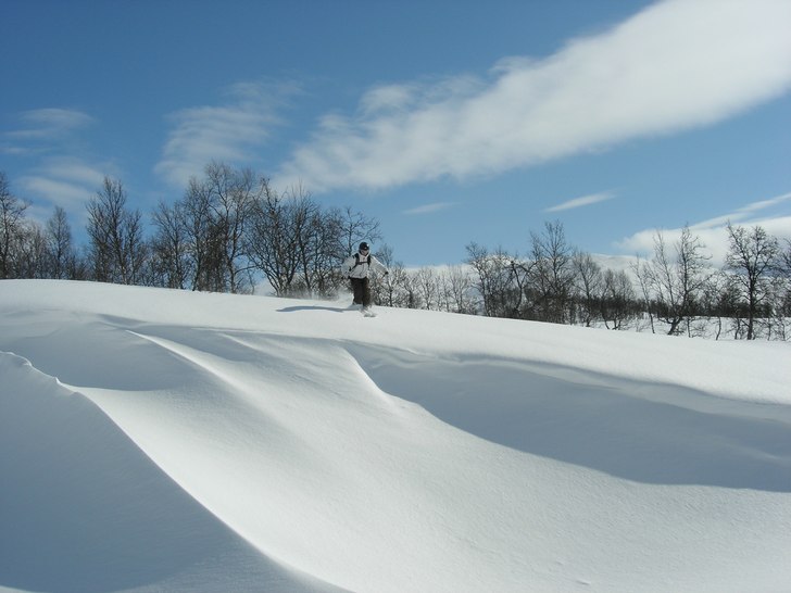 Soligt och fluffigt. Foto: Axel. Åkare: Simon Blom.