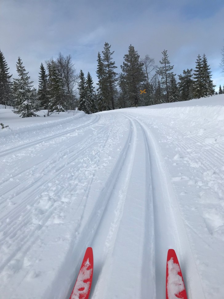 Första gången på skidor!.