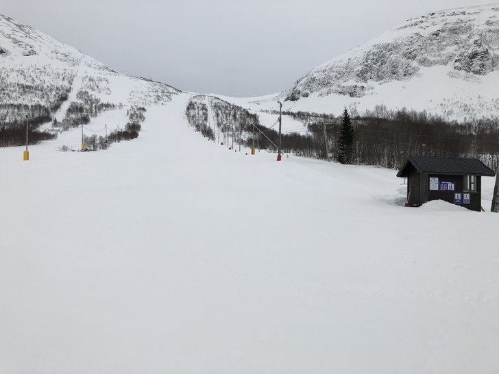 Velkommen til fjells.
Nypreparerte bakker, og flot.