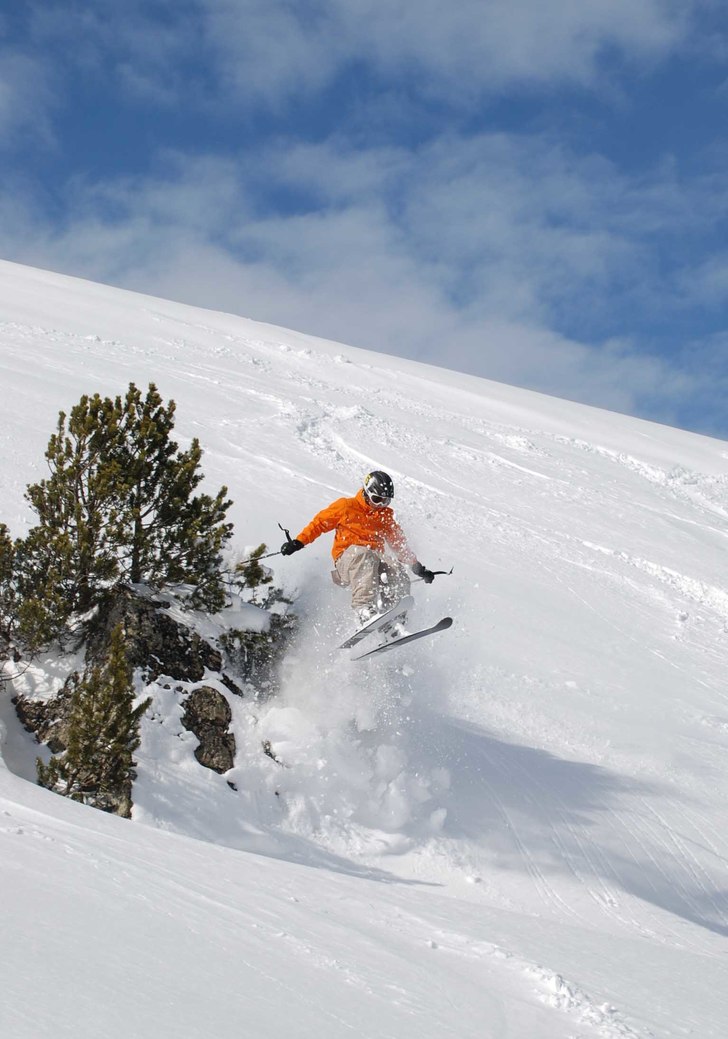 Foto: Alexander Palm. Åkare: krills.