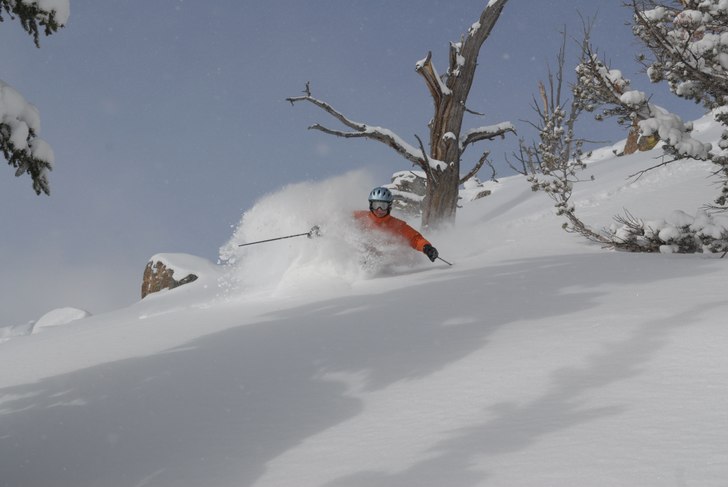 Foto: Hans Hörfelt. Åkare: Pelle Gustavsson.