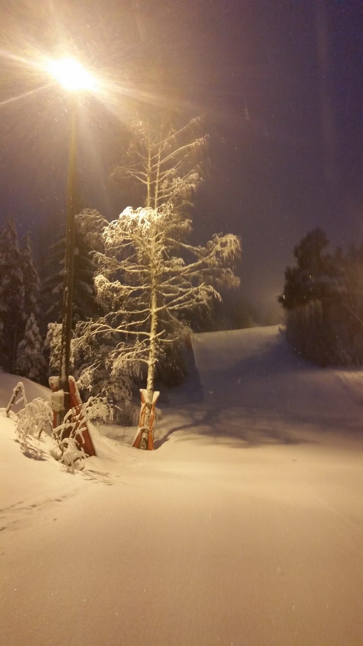Masse natursnø!
Vi har fått naturlig snøfall de.