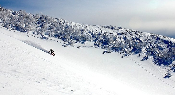 Foto: Christer Hällare. Åkare: Mario Marinkovic.