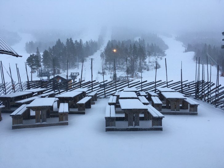 Det snør, det sør!
❄️️Året har startet me.