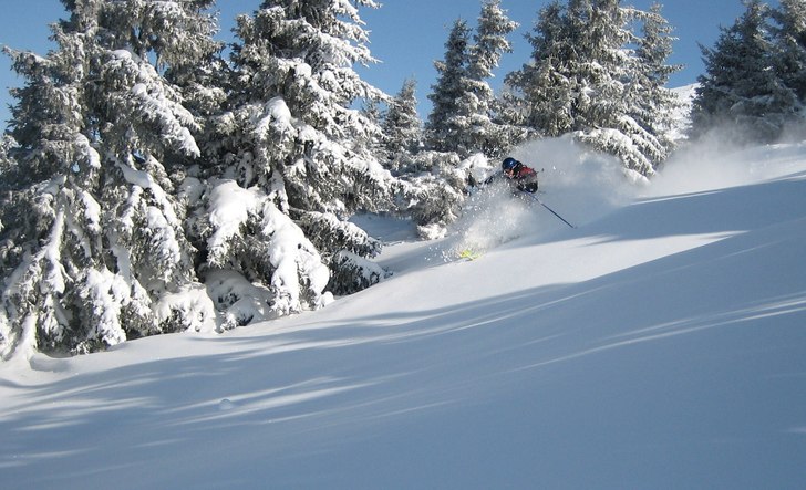 Foto: Martin Sund. Åkare: Rufus Ziesig.