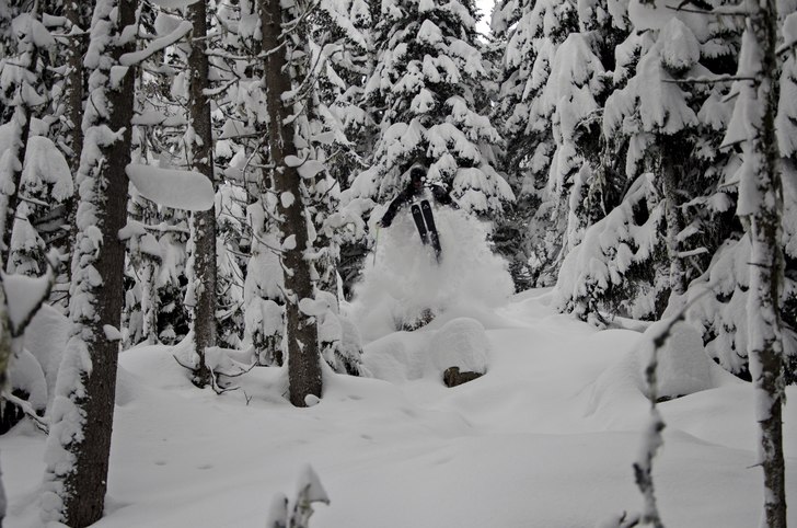 Foto: Rikard Landrin. Foto: Rikard Landrin.