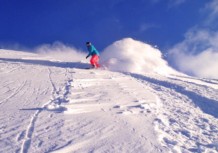 Foto: Emelie Persson. Åkare: Christine Persson.