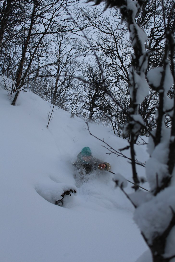 Med en Robbit ser allt ut som puder..