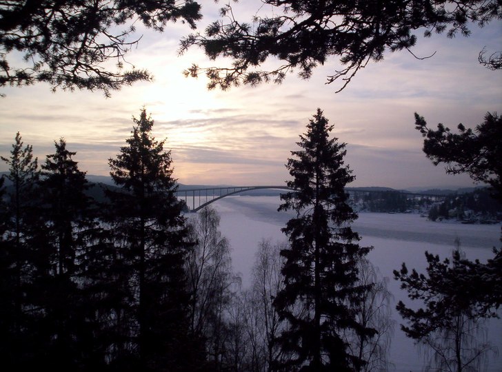 Foto: malin qvarfordt.