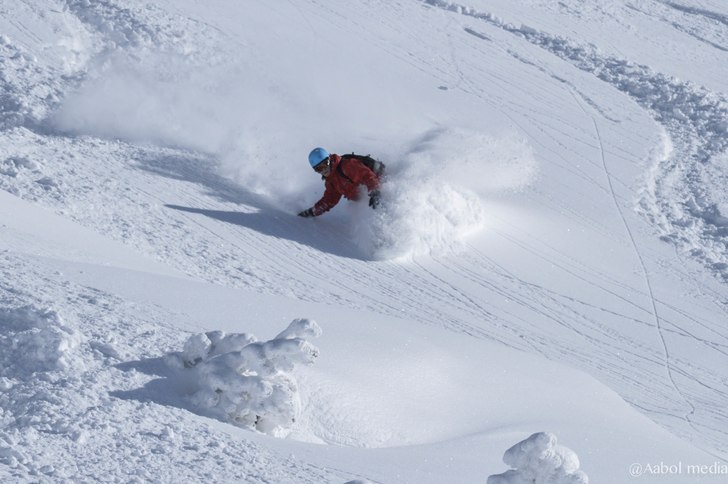 Foto: Christoffer Aabol. Åkare: Olle Johnsson.