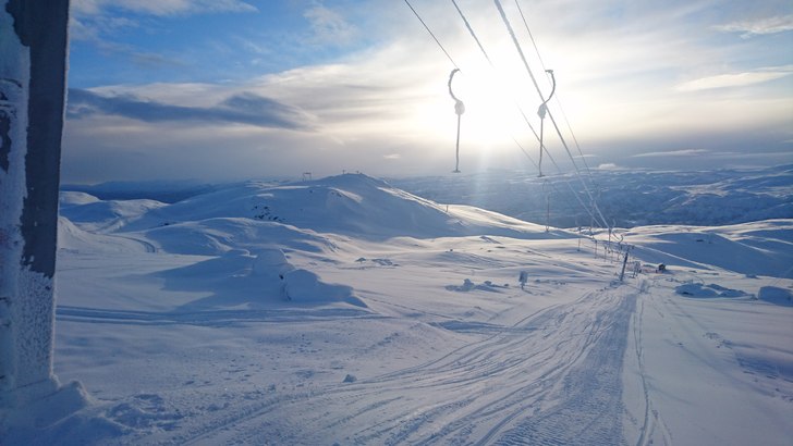 Fantastisk pudderdag 
Masse fin puddersnø, perfek.