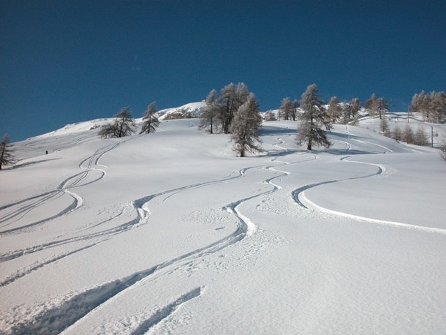 Snöyra 2006 . Foto: Louise Montgomery.