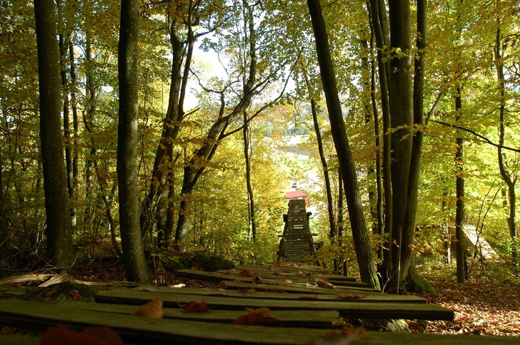 Höst i Vånga. Foto: Anton Jensen.