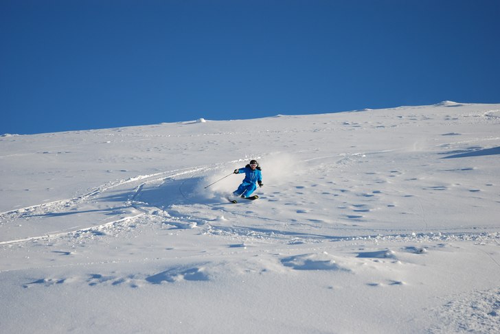 Foto: -. Åkare: Paulina Poletti.