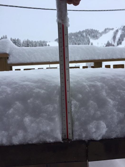 Perfekte forhold
I dag kunne vi igjen tilby nysnø.