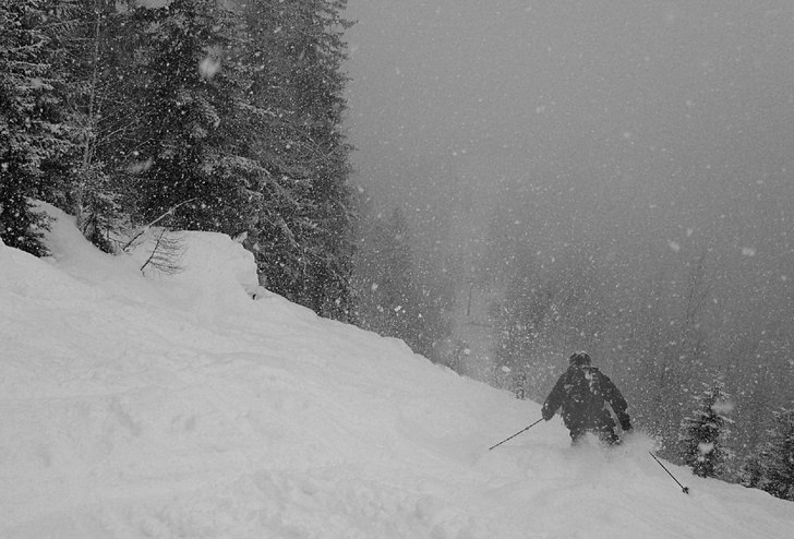 En inte fullt så vacker dag i skogen ner mot Arge. Foto: Erik Tjerneld. Åkare: Markus Emgård.