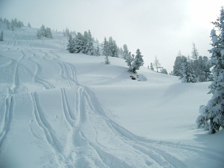 Foto: Jonas Johansson.