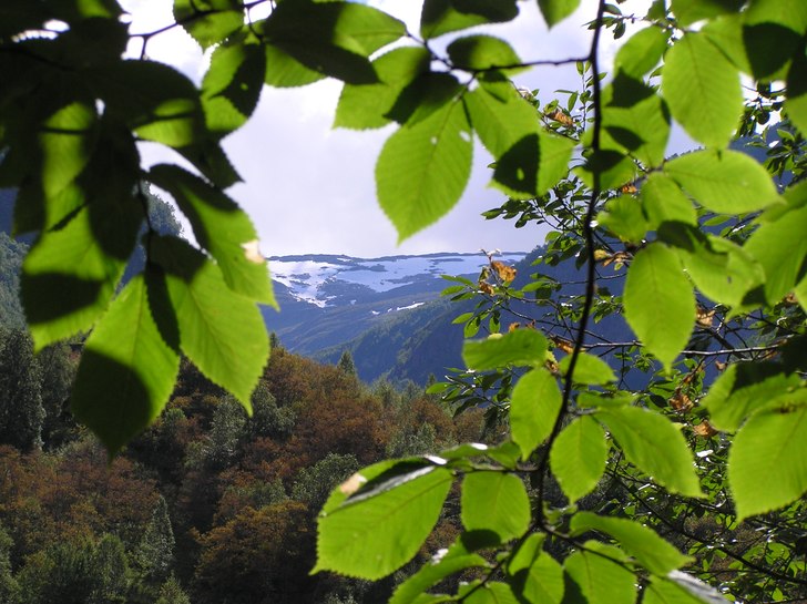 Foto: Jimmy Berglund.