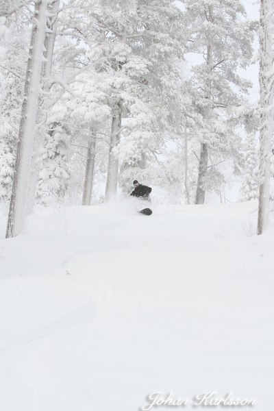 Första dan på skidor för denna sessong.. Foto: Johan Karlsson. Åkare: Erik Gustafsson.
