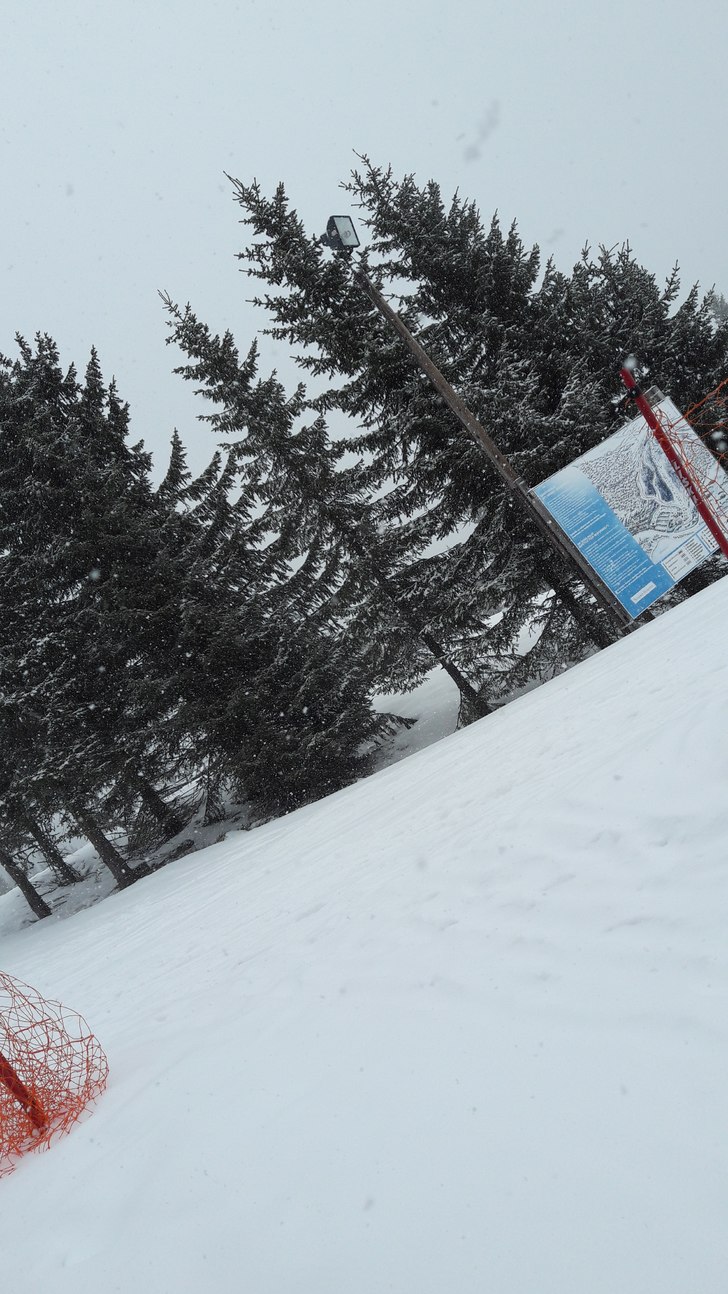 Det snør!
Herlig med påfyll til påske! .