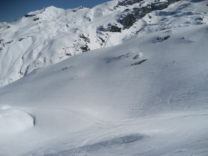 Foto: Theodor Birkner. Åkare: Jonas Rolandsson.