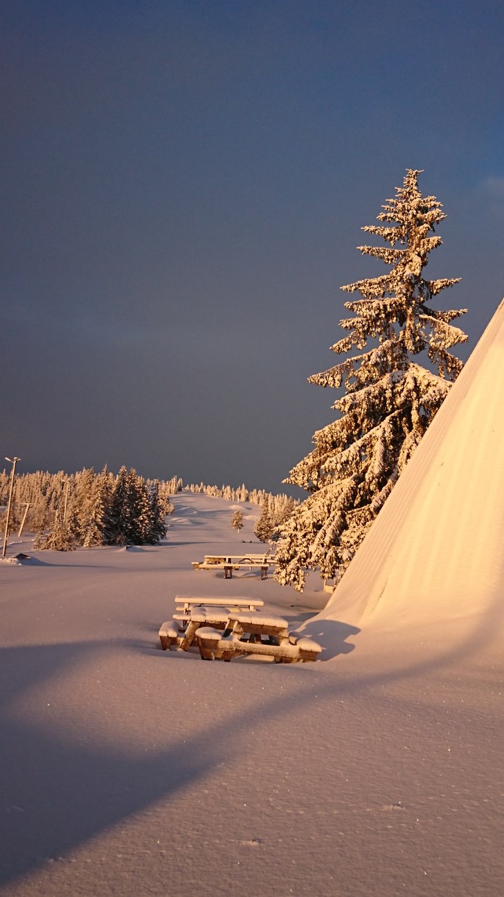 Åpent 10.00 - 16.00. ☺️ alle dager 
Kveldsåp.
