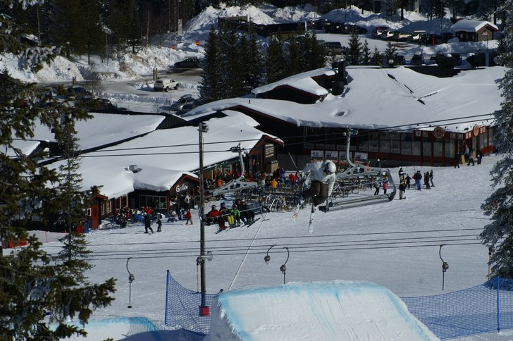 en lugn 3a som fick sig en konstig lut med en sena. Foto: s.