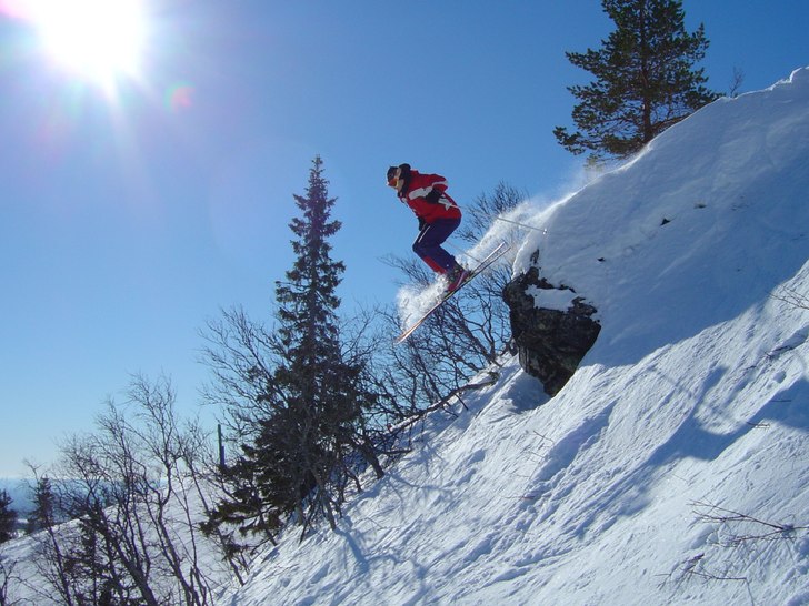Foto: Peter Jansson. Åkare: Dan Johansson.