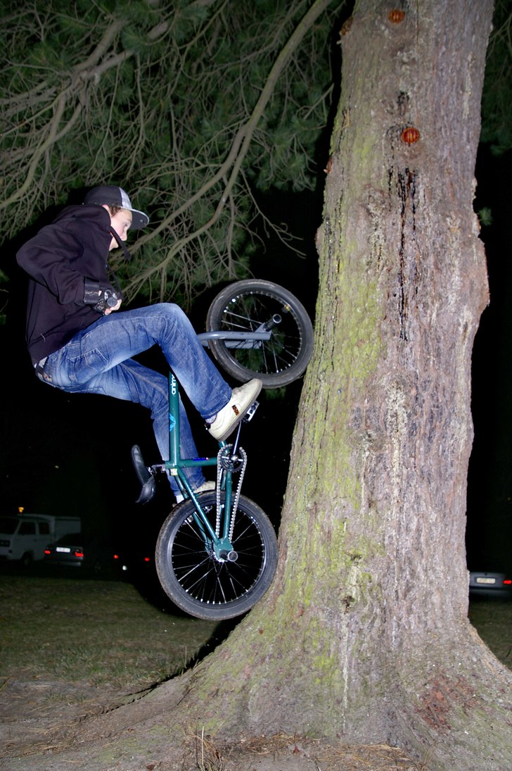 jonas gör en tree ride. Foto: August Tynong. Åkare: jonas.