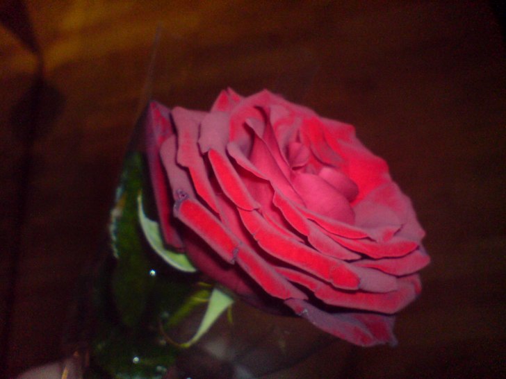 Fin ros :) kärlek! <3. Foto: Julia Sjögren.