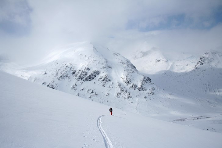 Foto: Robert Moskowitz. Åkare: Hanna Wird.