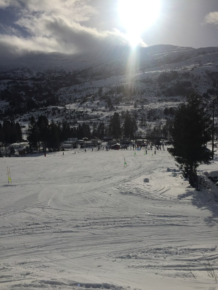 Opne heisar på dagtid denne veka
Sidan vi no har .