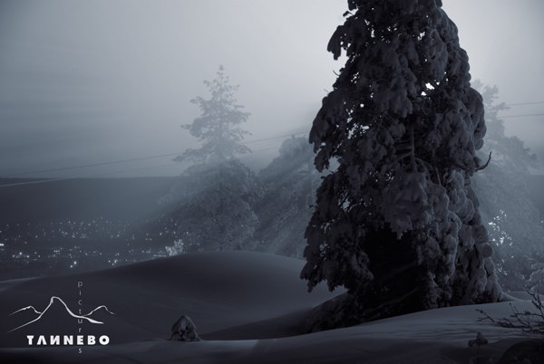 Snöläggning, december 2008. Foto: Peter Tannebo.