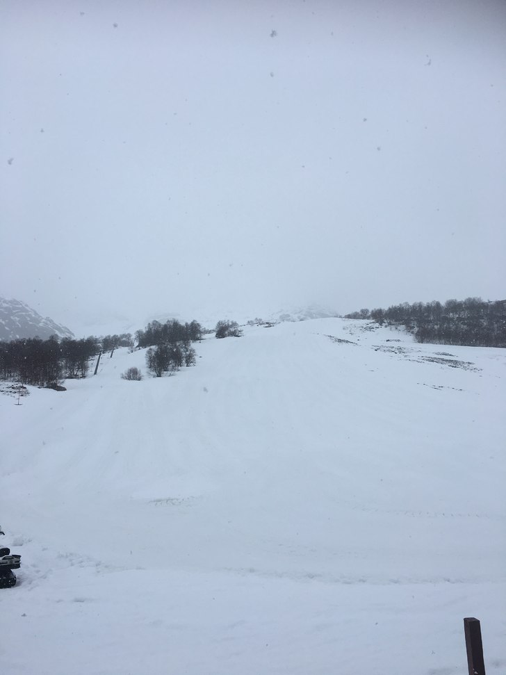 Onsdag
I dag har vi snø, ingen vind og ca. +1 gra.