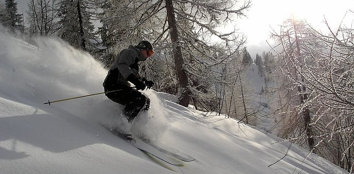 Foto: Henri Tervonen. Åkare: Olli Tervonen.