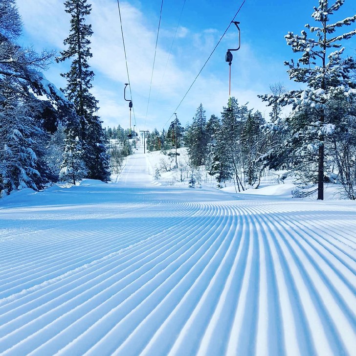 Perfekte forhold i dag❄????⛷
Strålende vær o.