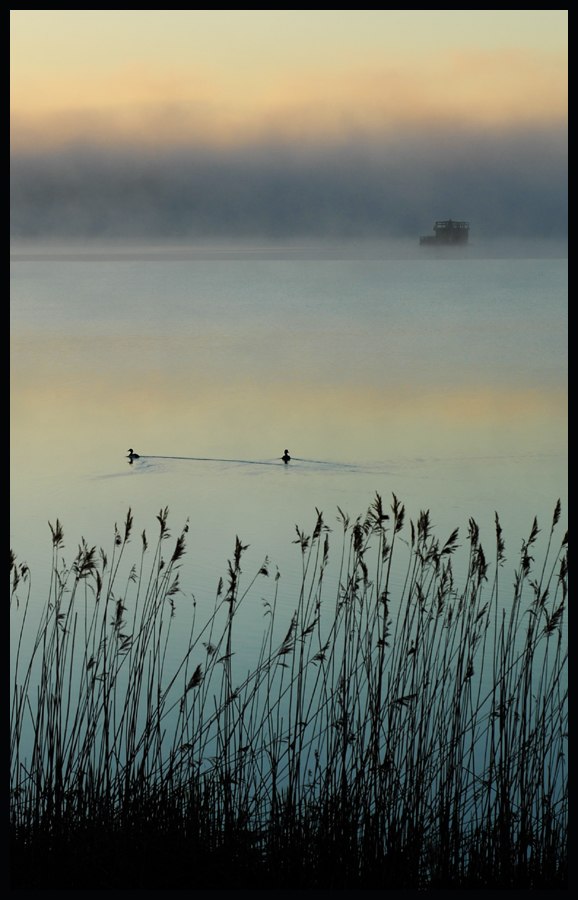 Soluppgång å lite dimma å lite fåglar å lite . Foto: Simon Pontér.