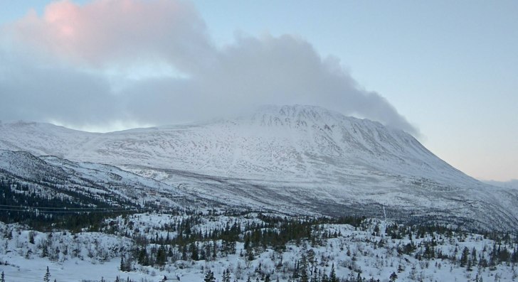 Nysnø
Da fikk vi endelig fersk snø - 12 cm! Det .