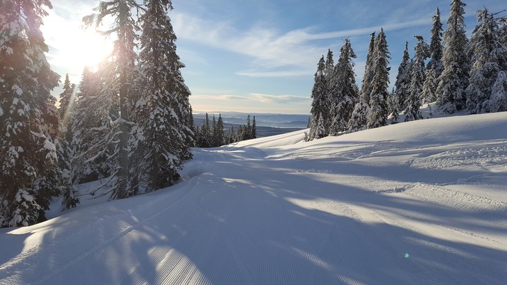 Nydelige forhold med masse nysnø
Sola skinner og .